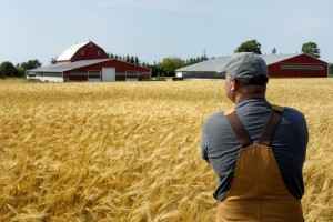 Закон украины о передаче фермерских хозяйств в наследство