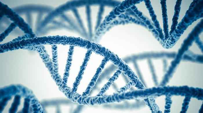 Генетические признаки передающиеся по наследству